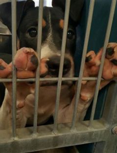 Перетворення