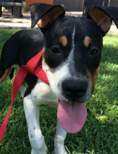 Перетворення